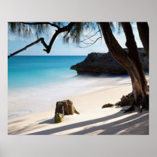 Pôster Praia Tropical