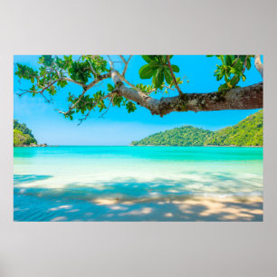 Poster Praia Tropical