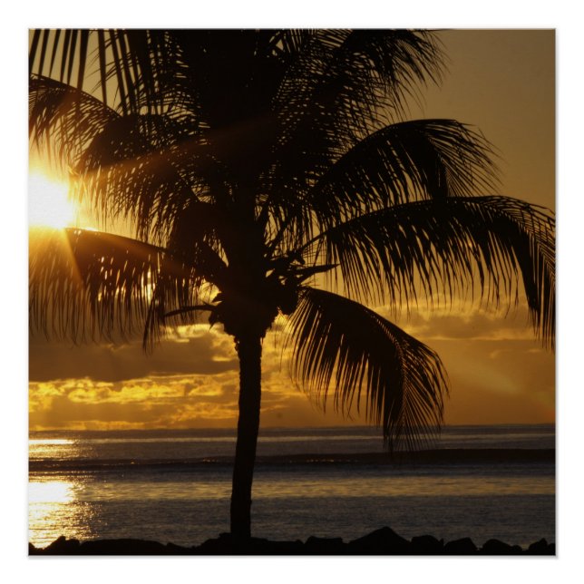 Pôster Praia Tropical (Frente)