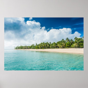 Poster Praia Tropical Cercada por Palmeiras