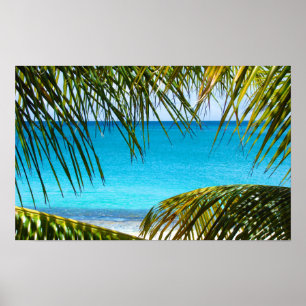 Poster Praia Tropical enquadrada com Palm Fronds