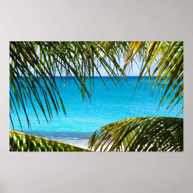 Poster Praia Tropical enquadrada com Palm Fronds (Frente)