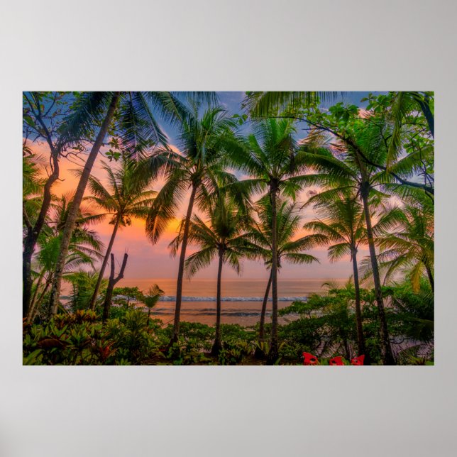 Poster Praia Tropical | Parque Nacional Corcovado (Frente)