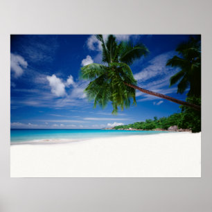 Pôster Praia tropical   Seychelles