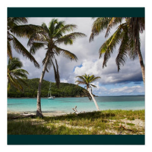 Pôster Praia Tropical Verde Natureza Nome Personalizar