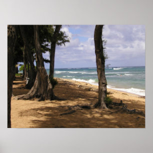 Poster Praia, Wailua, Kauai