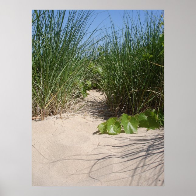 Poster Praia, Warren Dunes, MI (Frente)