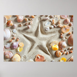 Poster Praia White Sand Seashells