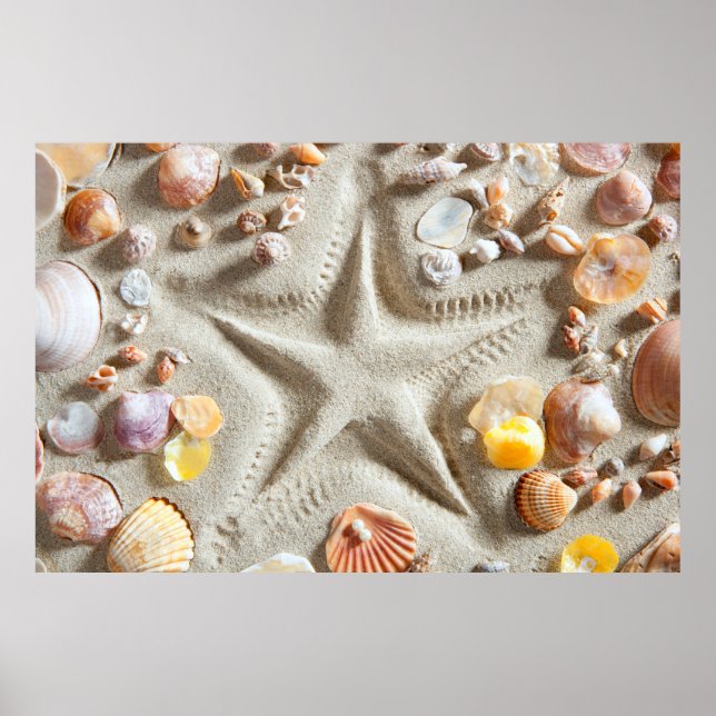 Poster Praia White Sand Seashells (Frente)