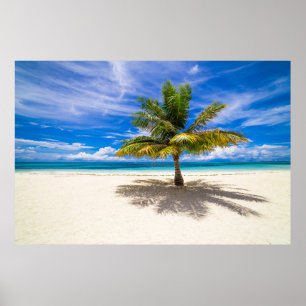 Poster Praias Tropicais Bora Bora, Polinésia Francesa
