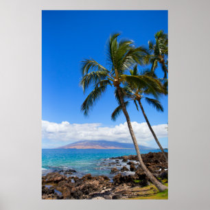 Poster Praias Tropicais   Ilha Maui Hawaii