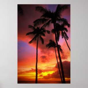 Poster Praias Tropicais   Ilhas Maui Hawaii
