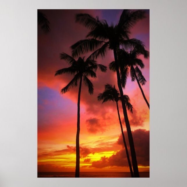 Poster Praias Tropicais | Ilhas Maui Hawaii (Frente)