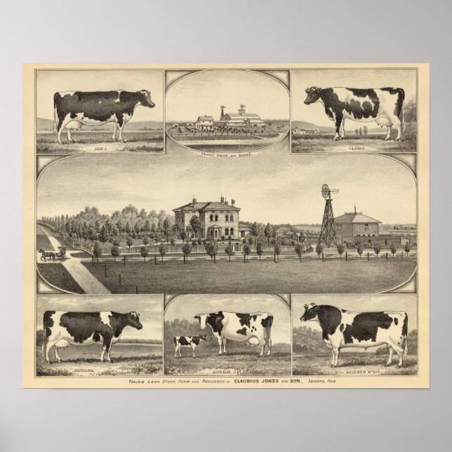 Poster Prairie Lawn Fazenda, Nebraska (Frente)