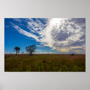 Poster Prairie, Parque Estadual da Reserva de Kissimmee P