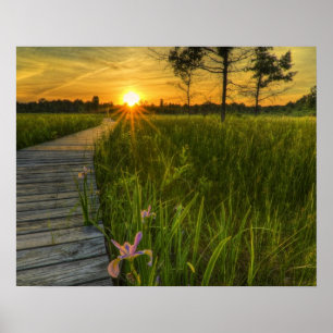 Pôster Prairie Sunset