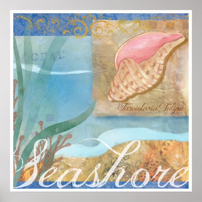 Pôster PraPoster IV, "Seashore com Tulip Shell" (Frente)