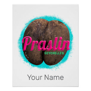 Pôster Praslin Seychelles Oceano Índico Vintage Souvenir