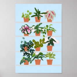 Poster Prateleiras com plantas caseiras