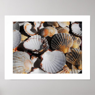 Poster Prateleiras de serradura