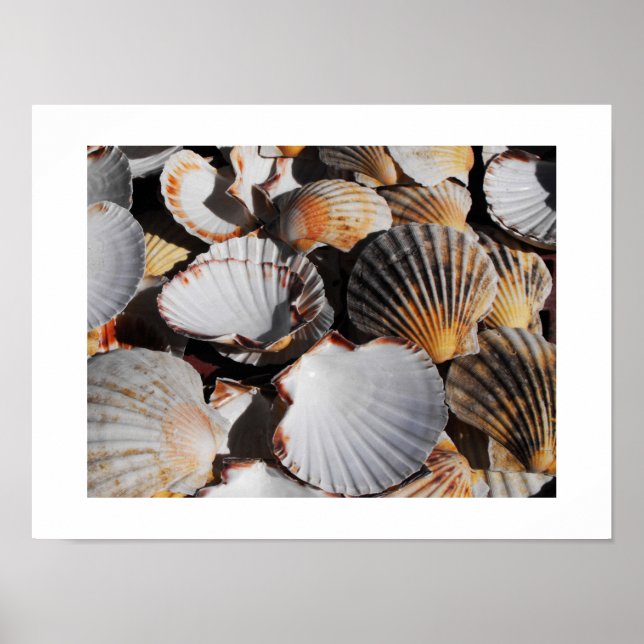 Poster Prateleiras de serradura (Frente)