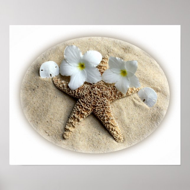 Poster Prateleiras de Starfish Plumeria na Areia (Frente)
