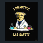 Poster Pratico segurança no laboratório<br><div class="desc">Um gráfico de cão "I Practice Lab Safety" desenhado por Creative mostra um labrador ouro em um laboratório! Isso faz um presente excelente para a família, amigos ou um presente para você mesmo! Este gráfico engraçado é um excelente adicional ao estilo de qualquer um. Criativo é um criador líder e...</div>