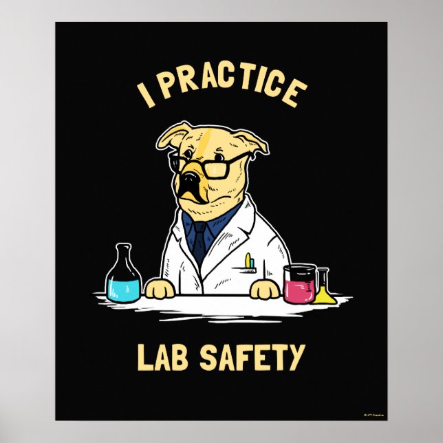 Poster Pratico segurança no laboratório (Frente)