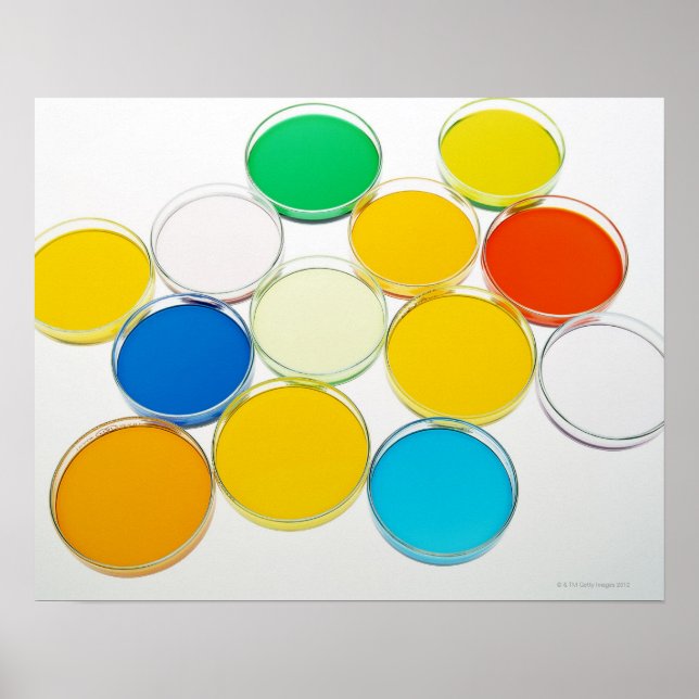 Poster Prato Laboratorial 2 (Frente)