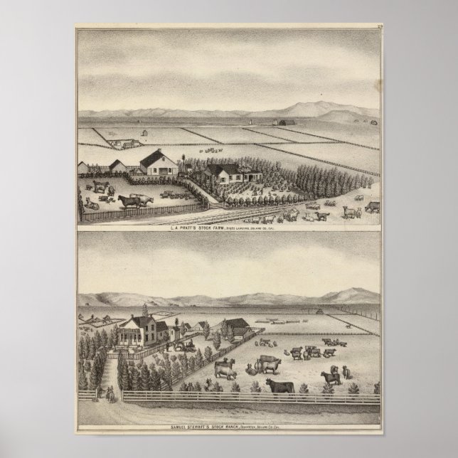 Poster Pratt, Stewart fazenda (Frente)