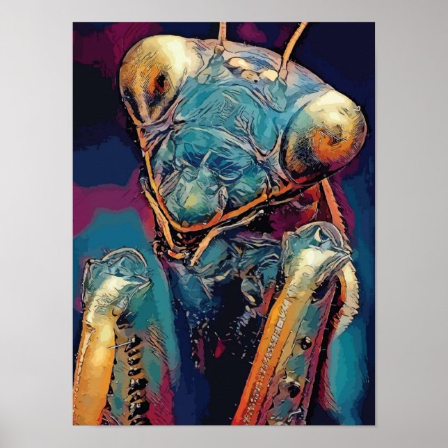 Poster praying mantis mantisinsects eyesMantis Orchid Pra (Frente)