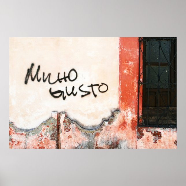 Poster Prazer em conhecê-lo (Frente)