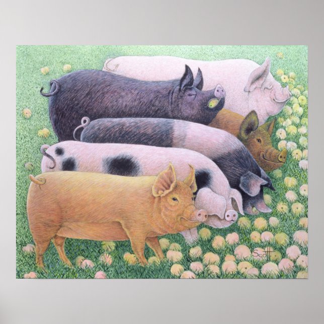 Pôster Prazer Puro (Frente)