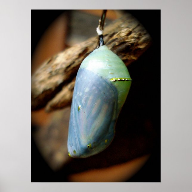 Pôster Precipício (Frente)