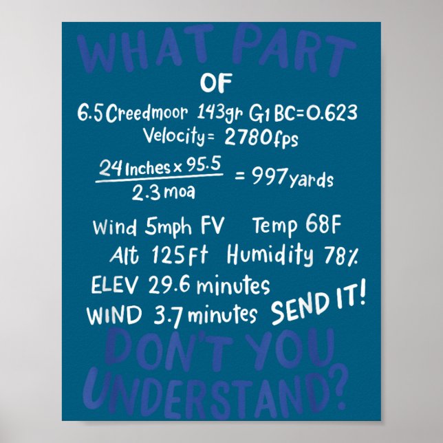 Poster Precision Shooting Funny Gun Shooting Srts Gun Lov (Frente)