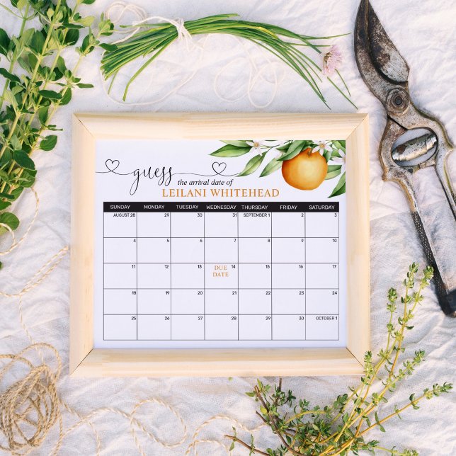 Poster Predictions Baby Shower Cutie Oranges (Criador carregado)