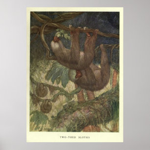 Poster Preguiça Pintura do vintage (1919)