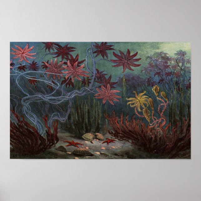 Poster Prehistoric Ocean (Frente)