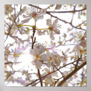 Poster Prelúdio 2014