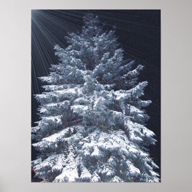 Pôster Prêmio TBA - Luzes do pino (Frente)