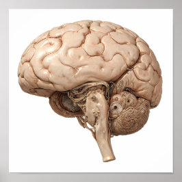 Poster Premium Gilded Design: Luxury Clockwork Organ