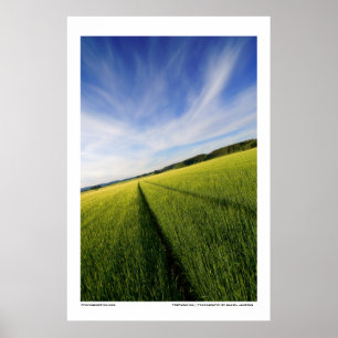 Pôster Preparação