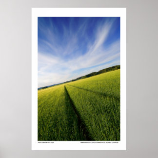 Pôster Preparação