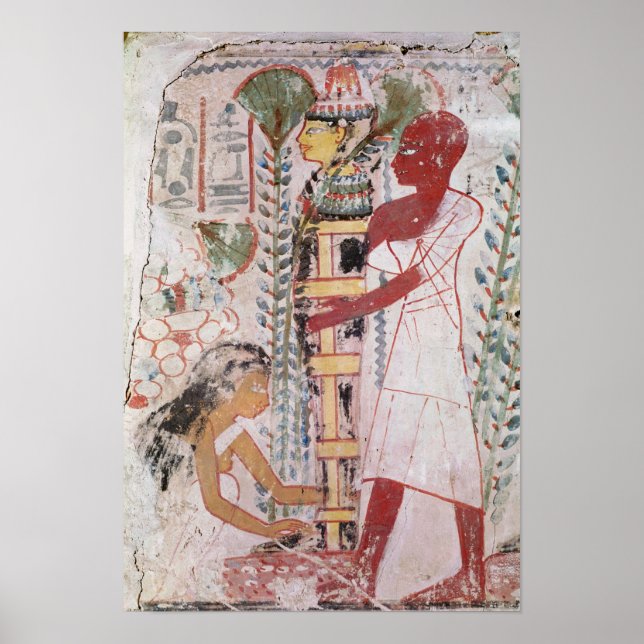 Poster Preparando uma múmia para uma cerimônia de purific (Frente)