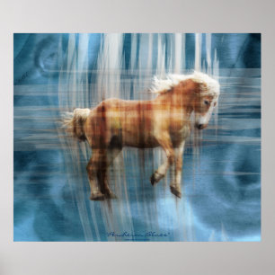 Pôster Presente belga de equídeo