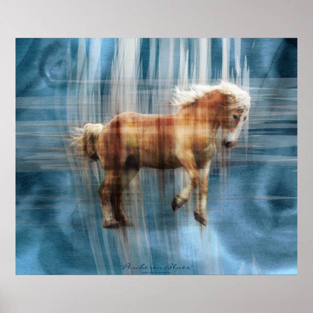 Pôster Presente belga de equídeo (Frente)