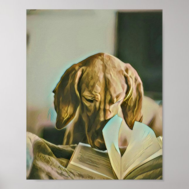 Poster presente de aniversário da biblioteca (Frente)