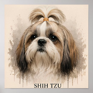 Poster Presente de Cachorro Companheiro Shih Tzu Doce