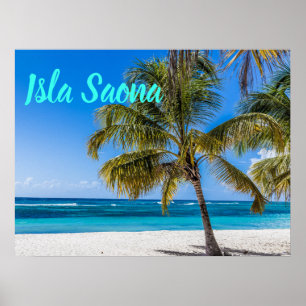 Poster Presente de Isla Saona Beach Domenican Republic