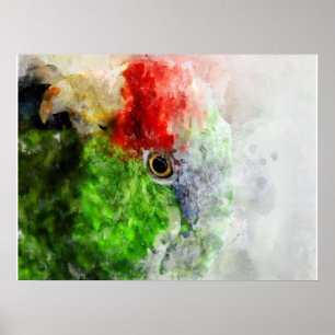 Poster Presente de Parqueteiro Verde de Arte Watercolor
